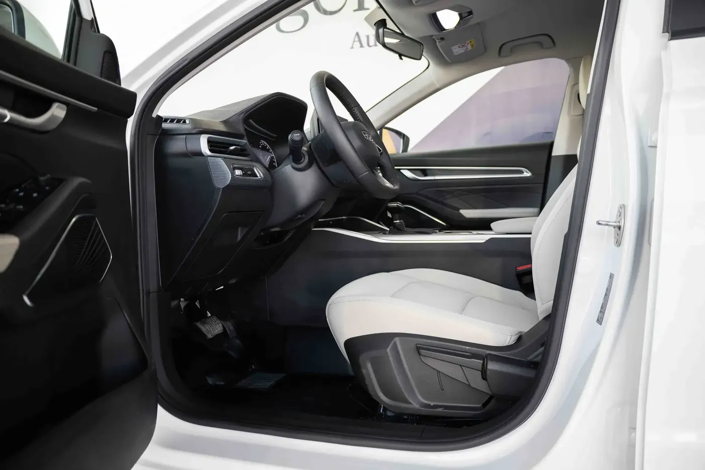 2024 GEELY EMGRAND GS - Image 2