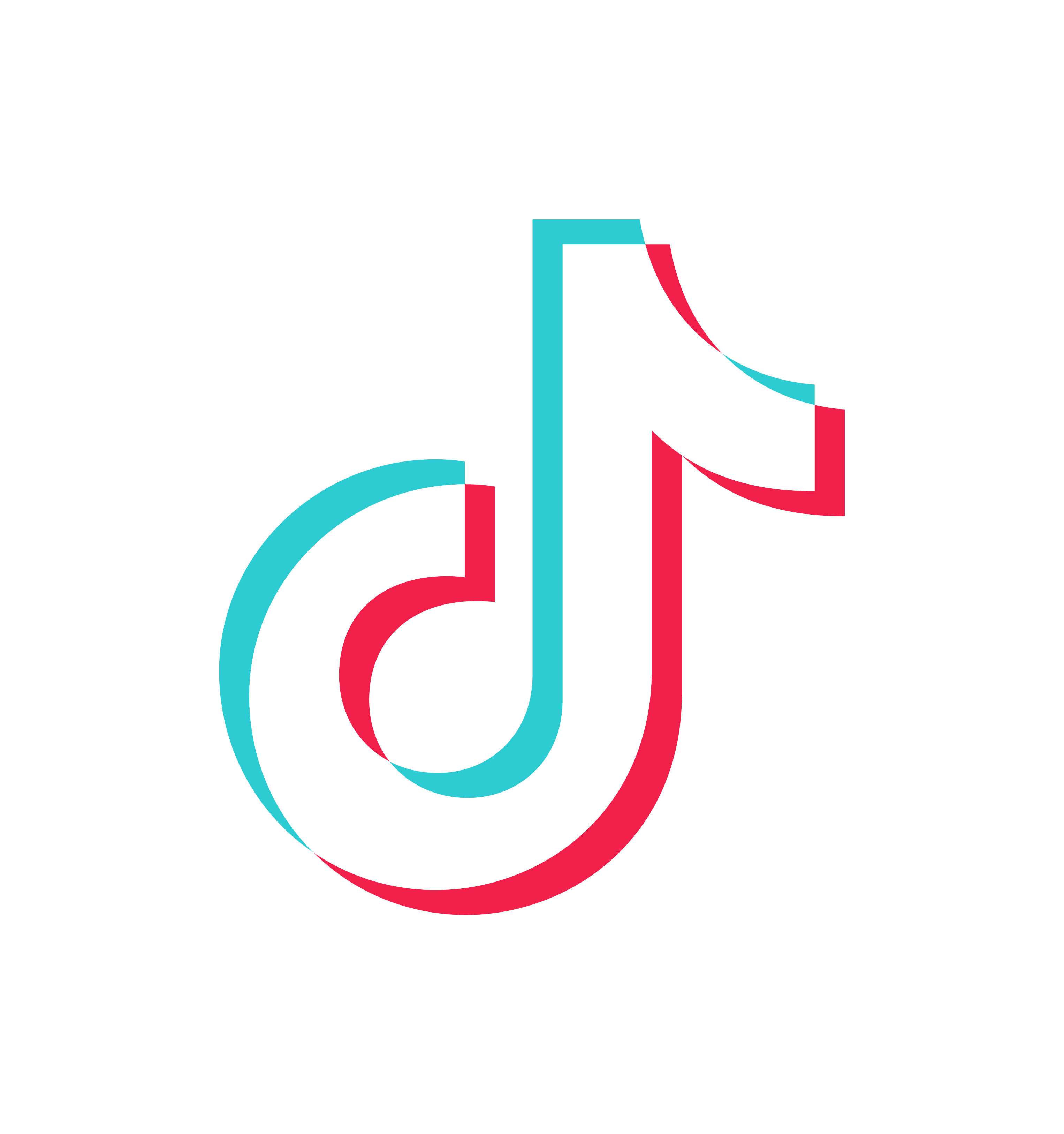 TikTok icon